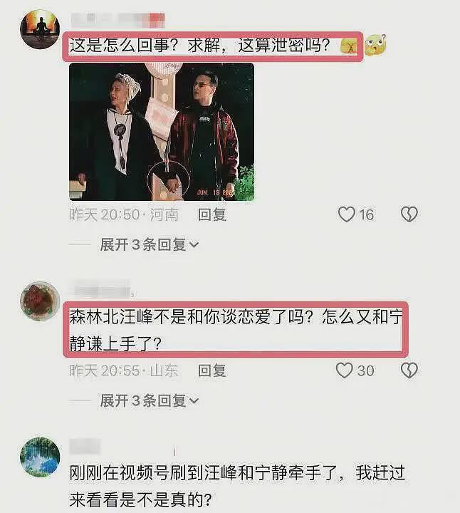 汪峰宁静牵手影响太大，森林北删除官宣视频，面对质问态度强硬（组图） - 4