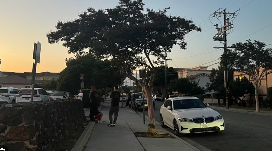 震动华人圈！餐馆老板收留非法移民，遭同胞反咬一口，索赔80万美元（组图） - 2