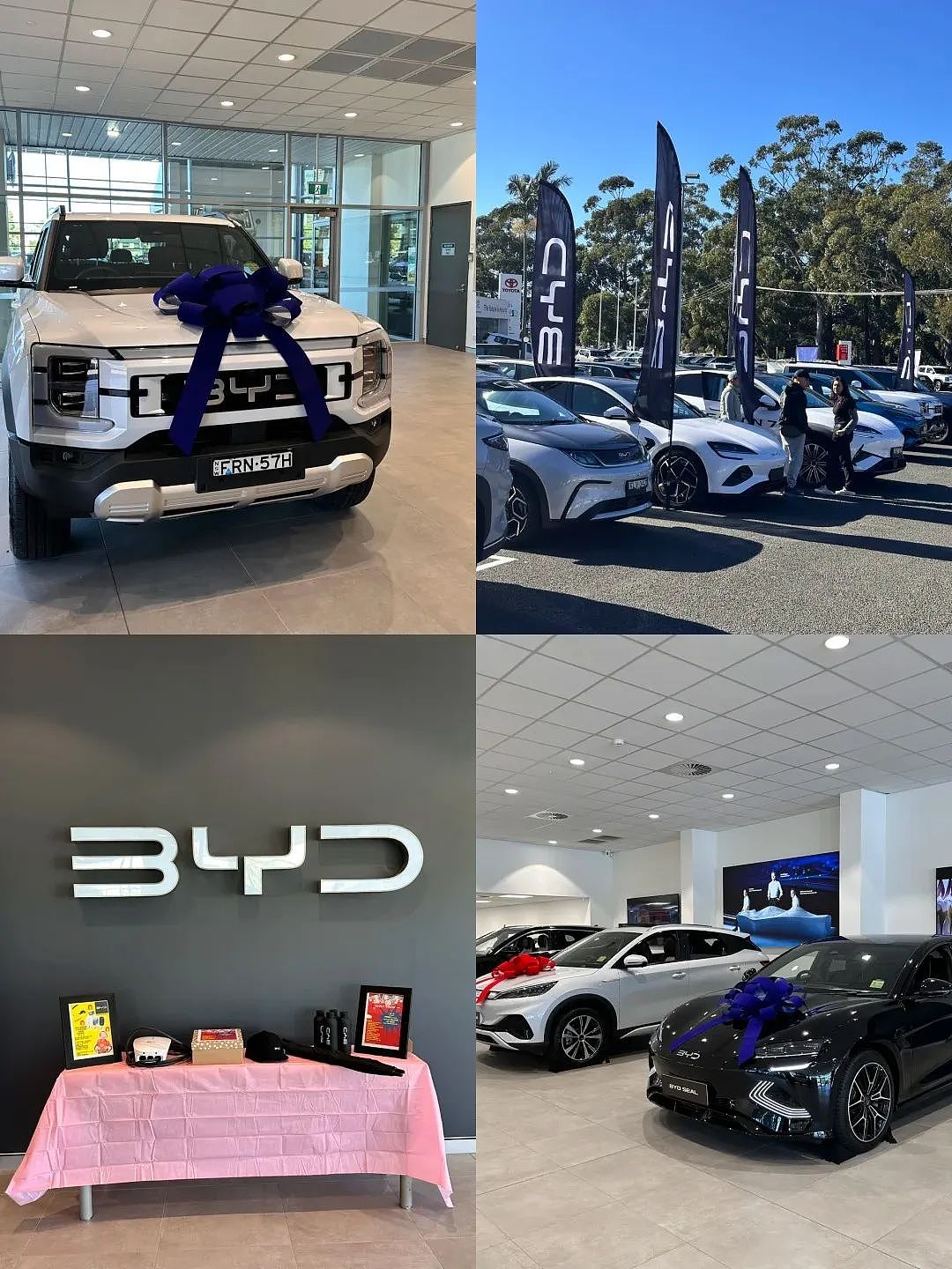 BYD全澳固定价格售车,怎么破?(组图) - 2