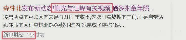 汪峰宁静牵手影响太大，森林北删除官宣视频，面对质问态度强硬（组图） - 8