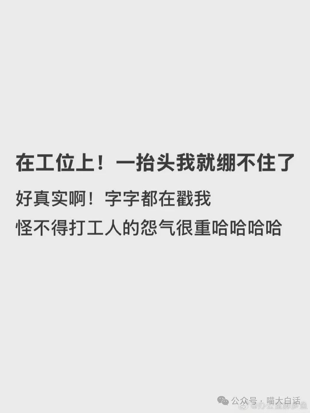 【爆笑】