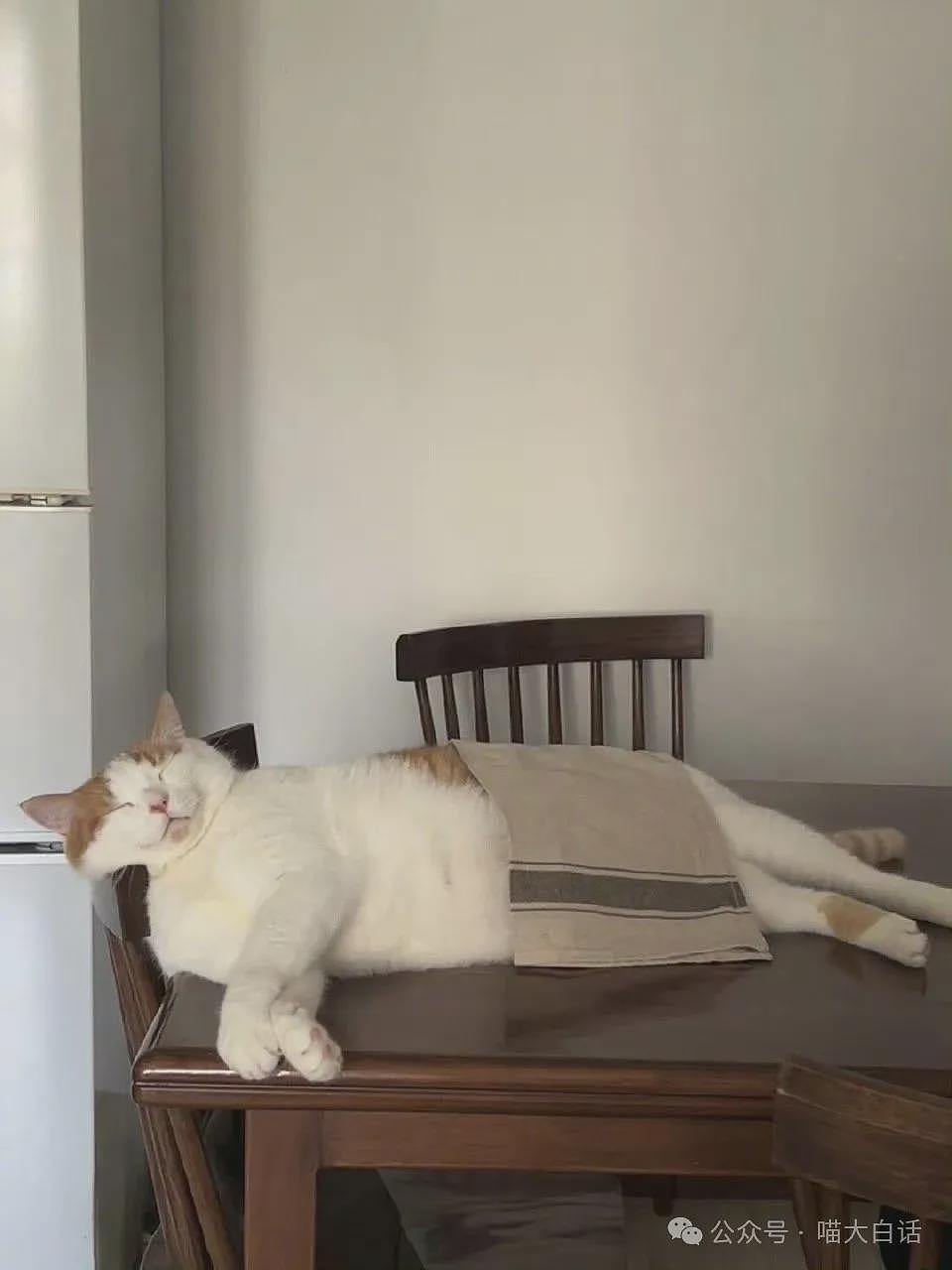 【爆笑】