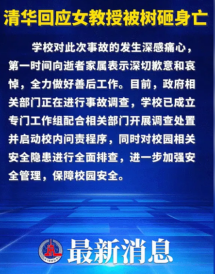 人为悲剧！北京语言大学系主任在清华大学校园被树砸身亡（组图） - 3