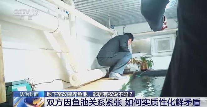 男子将地下室改成大鱼池！楼上邻居长期失眠，被锦鲤“整疯”（组图） - 6