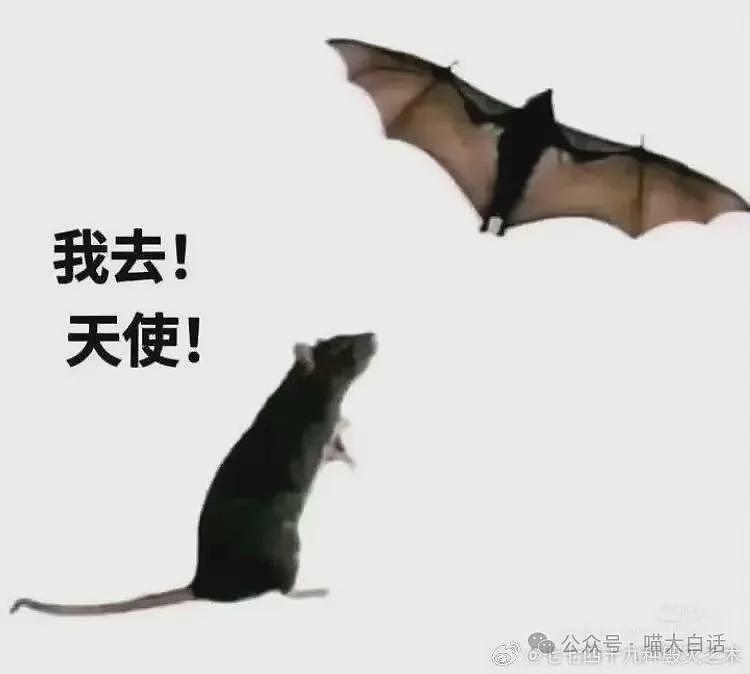 【爆笑】