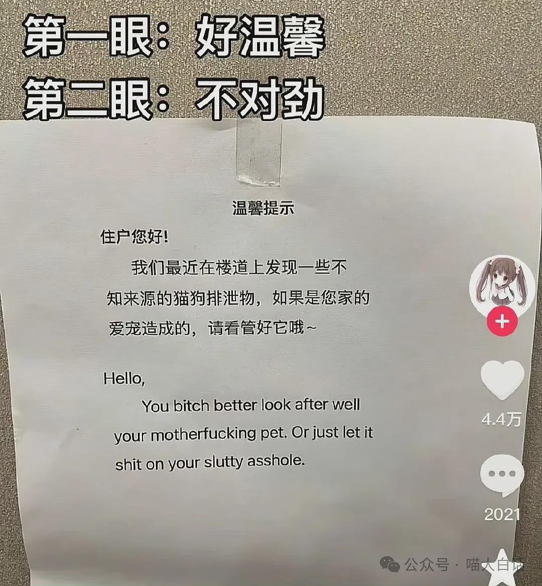 【爆笑】