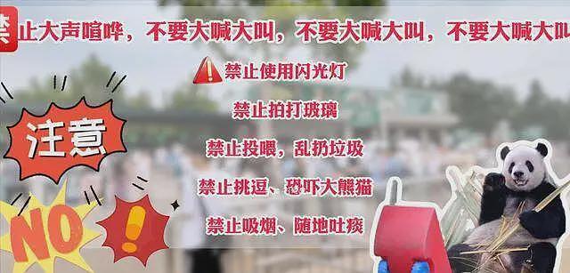 重庆3女子围殴女孩，撕扯衣服踹头扇脸，打人者正脸曝光身份被扒（视频/组图） - 5
