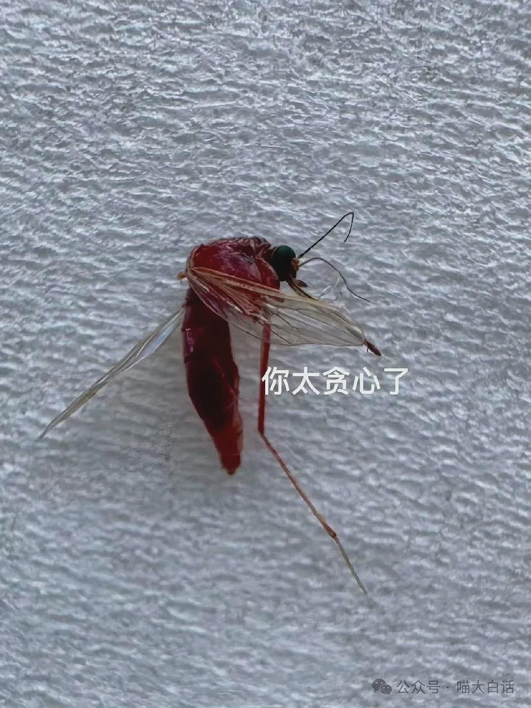 【爆笑】