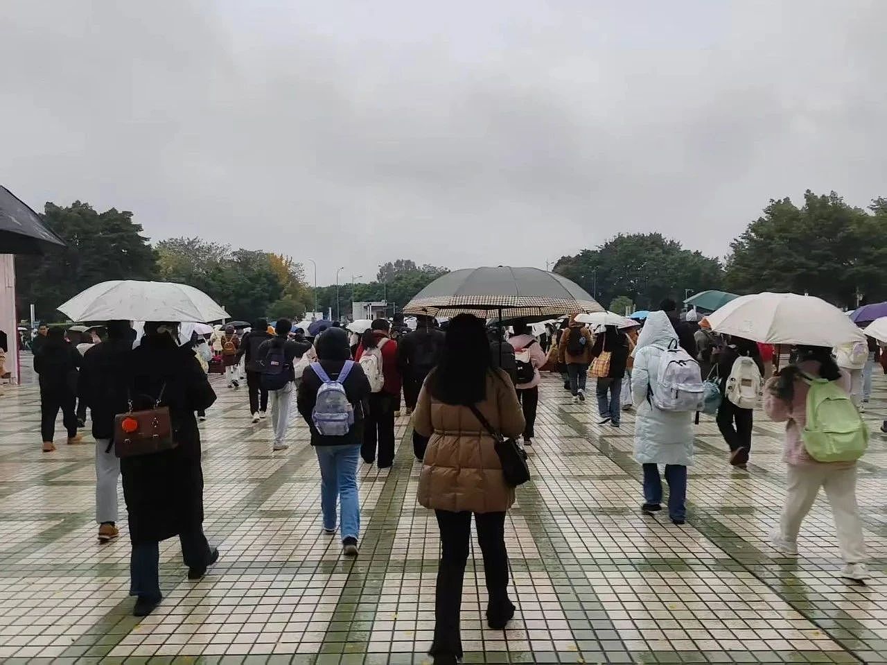 中国年轻人不考研,去考公了(组图) - 8