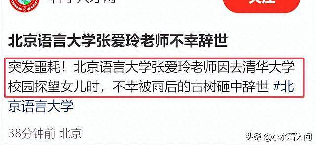 北语教授去清华看女儿遭意外,现场惨烈画面曝光(组图) - 5