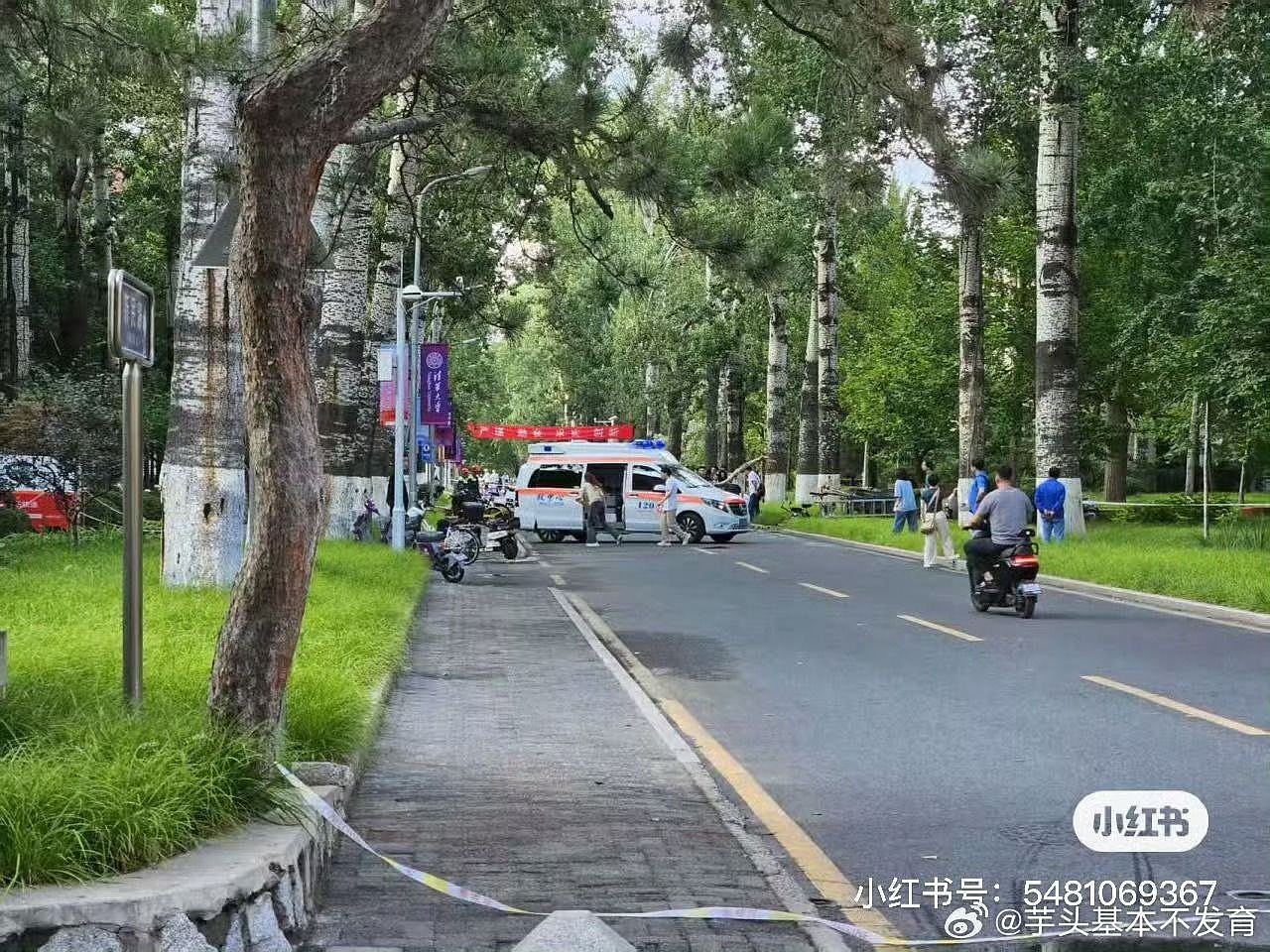 清华施工伐树砸毙外校58岁女教授，校方：校外企业违规作业（组图） - 4