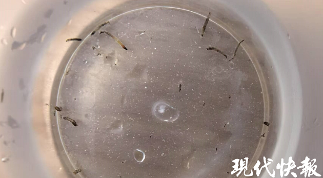 8岁女童持续呕吐活虫一个多月，元凶竟来自卫生间！很多家庭都有，赶紧清除（组图） - 2