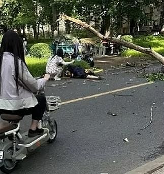 清华施工伐树砸毙外校58岁女教授，校方：校外企业违规作业（组图） - 3
