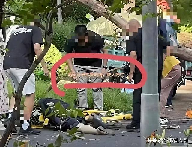 清华施工伐树砸毙外校58岁女教授，校方：校外企业违规作业（组图） - 2