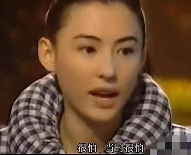 张柏芝逆生长：出道27年10部经典作品留下逆天颜值？哪个阶段最美（组图） - 32