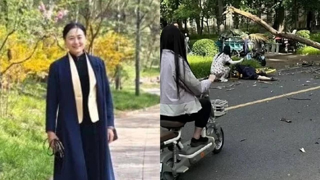 清华施工伐树砸毙外校58岁女教授，校方：校外企业违规作业（组图） - 1