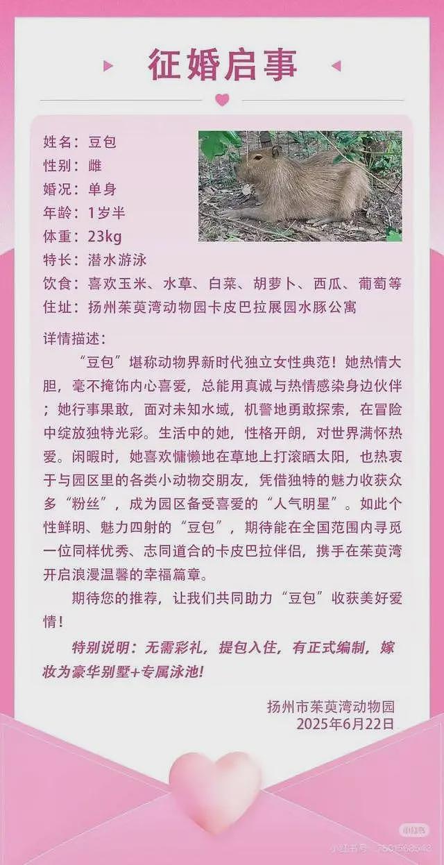 知名网红“豆包”全国征婚：无需彩礼，有编制...（组图） - 2
