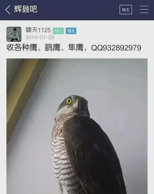 11年前，那个因“掏鸟案”被判10年的大学生，如今怎么样了（组图） - 10