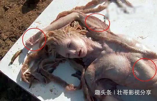 澳洲海滩发现美人鱼尸体,真实存在吗?(组图) - 2
