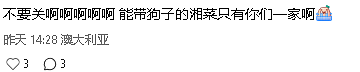 “太难过”！Burwood这家开了5年的中餐馆马上关门（组图） - 7