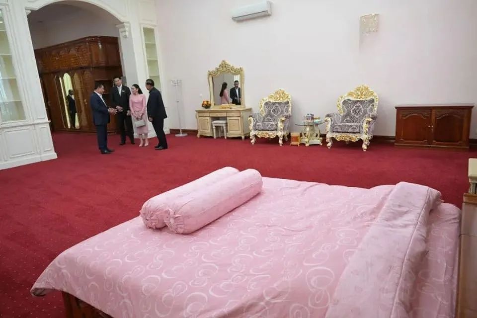 东南亚两大政坛家族反目！泰柬高层信任崩塌、边境局势一触即发… 更多内幕曝光（组图） - 13