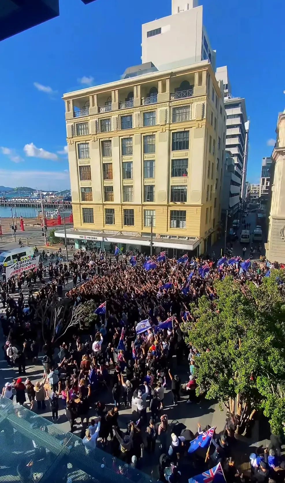“不想同化，就别移民！”新西兰爆发游行，他们全身黑衣，当众焚烧旗帜（组图） - 12