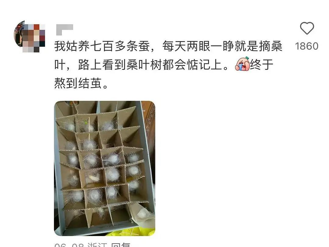 【美女】“拼夕夕下单一百个蚕卵商家发来一千个?”网友夺笋:现在下单桑树还来得及!(组图) - 10