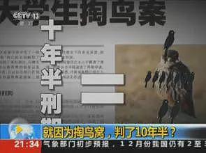 11年前，那个因“掏鸟案”被判10年的大学生，如今怎么样了（组图） - 3