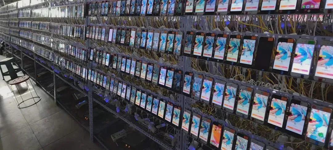 起底网络“黑嘴“:定制负面6毛/条、代举报千元起(组图) - 8