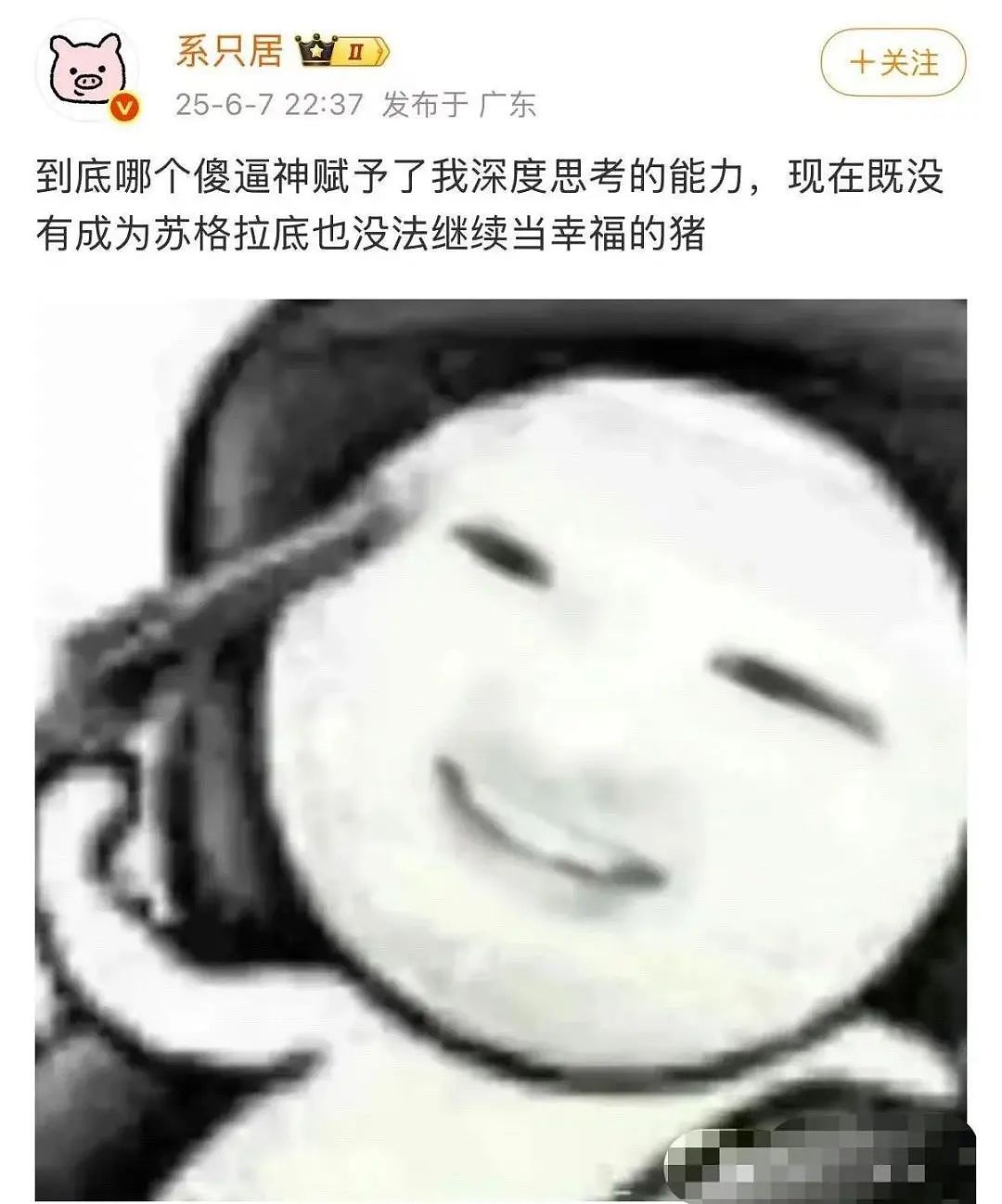 【美女】“拼夕夕下单一百个蚕卵商家发来一千个?”网友夺笋:现在下单桑树还来得及!(组图) - 33