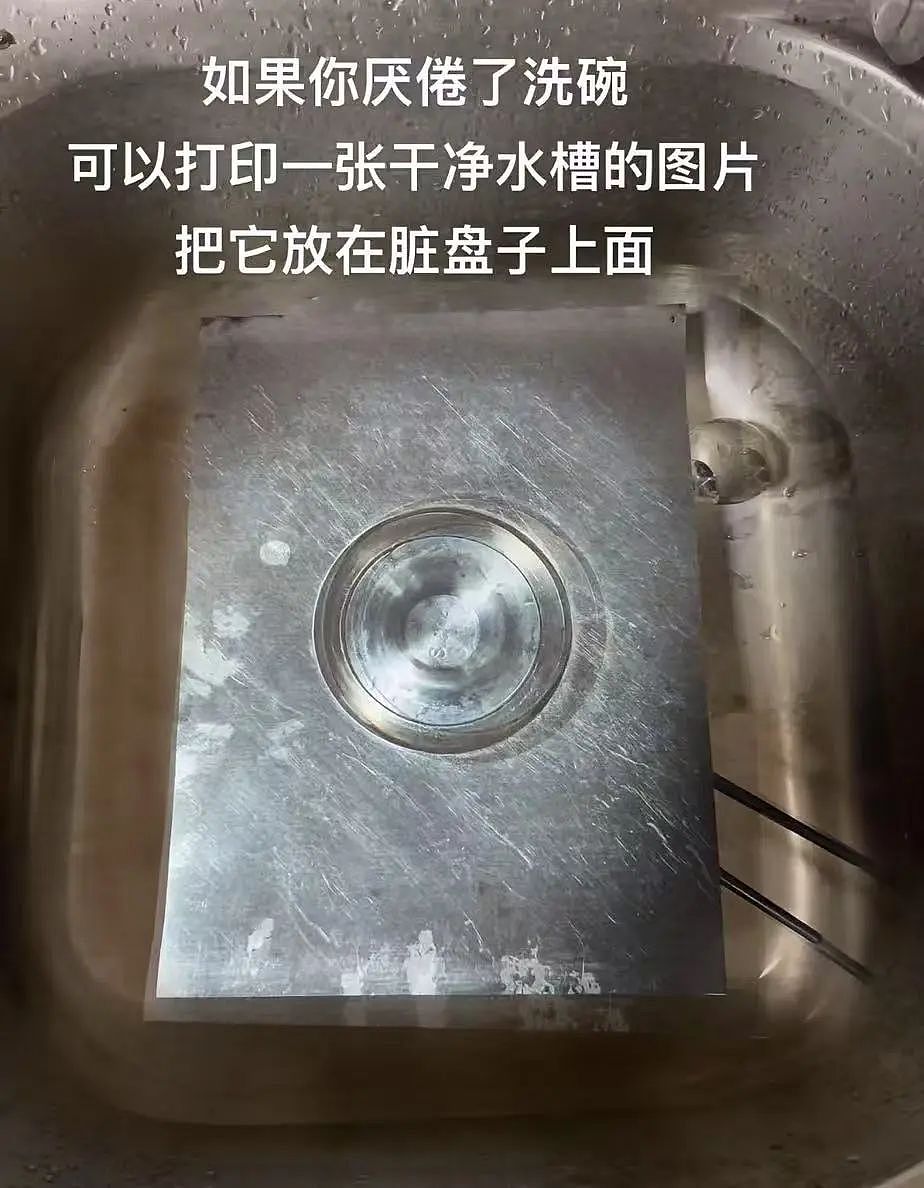 【美女】“拼夕夕下单一百个蚕卵商家发来一千个?”网友夺笋:现在下单桑树还来得及!(组图) - 82