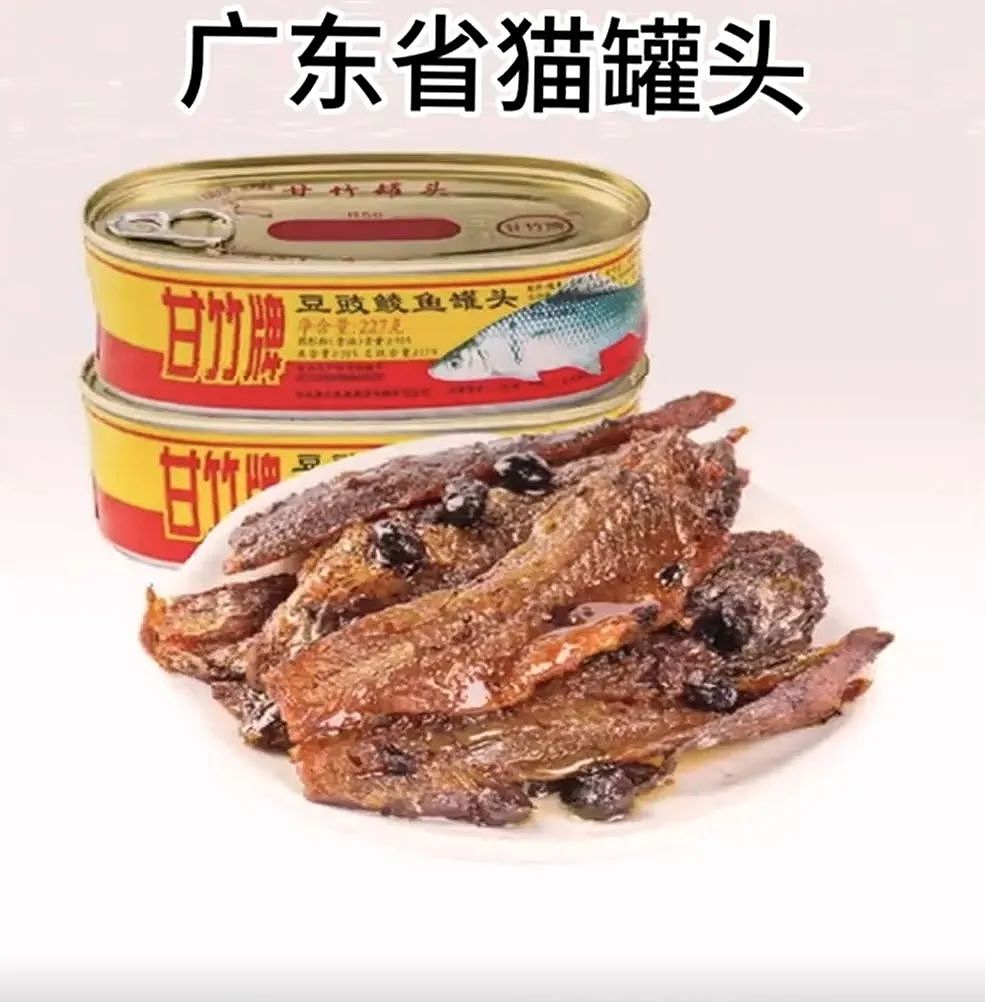 【宠物】网友吐槽广东人都是小猫变的...广东人刚想反驳,看完图片后傻眼了:我承认我是小猫喵喵喵(组图) - 2