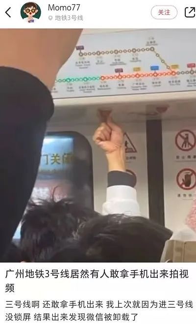 【宠物】网友吐槽广东人都是小猫变的...广东人刚想反驳,看完图片后傻眼了:我承认我是小猫喵喵喵(组图) - 6
