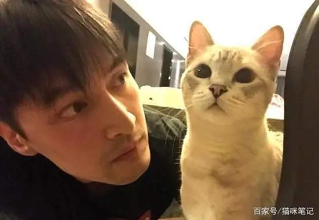 曝上海籍胡某某税务问题，网友实名公开举报，歌手胡彦斌疑似躺枪（组图） - 5