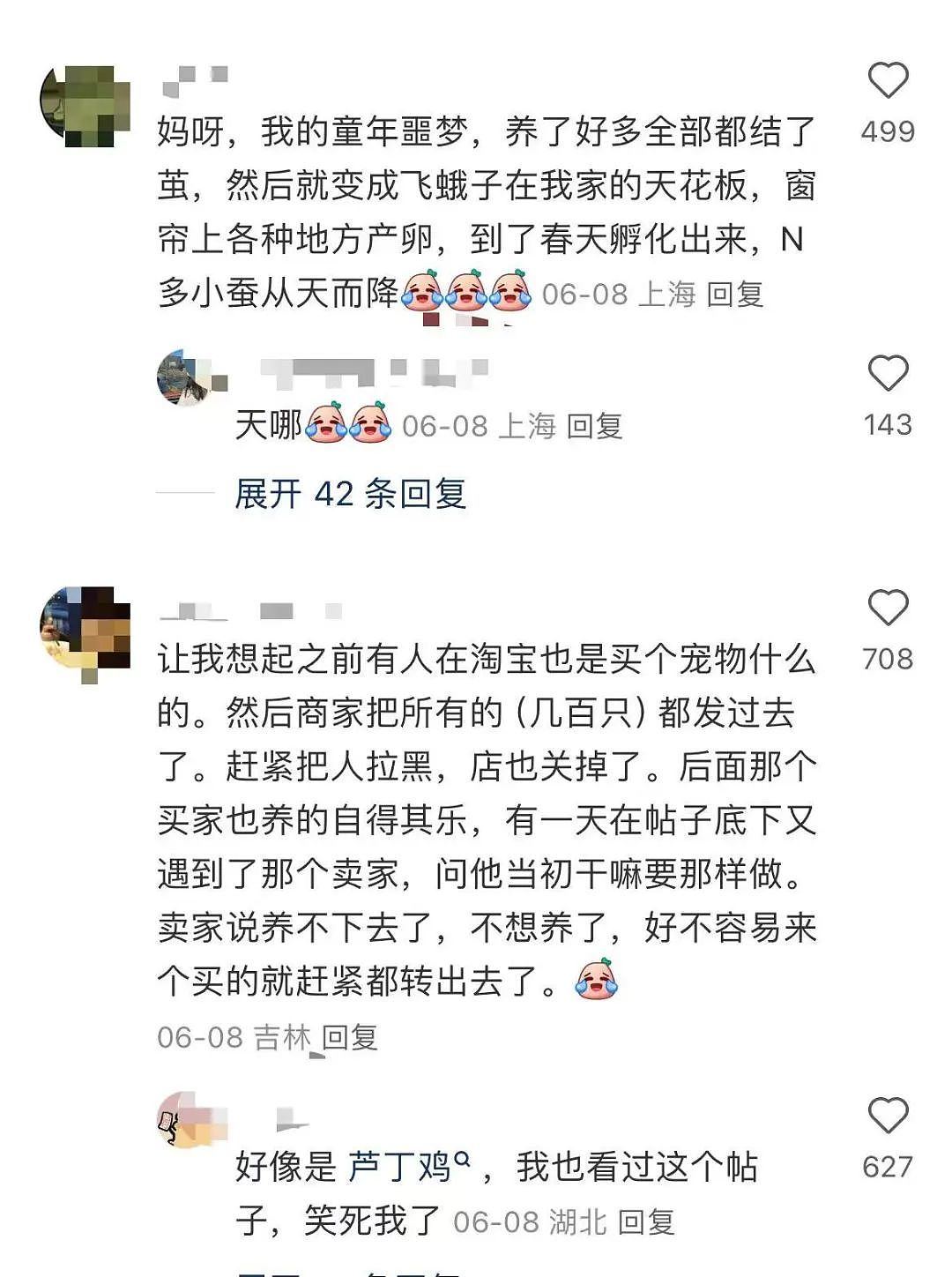 【美女】“拼夕夕下单一百个蚕卵商家发来一千个?”网友夺笋:现在下单桑树还来得及!(组图) - 14