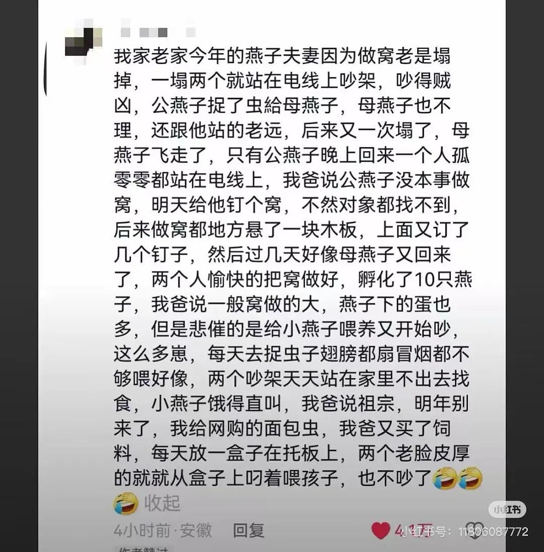 【美女】“拼夕夕下单一百个蚕卵商家发来一千个?”网友夺笋:现在下单桑树还来得及!(组图) - 50