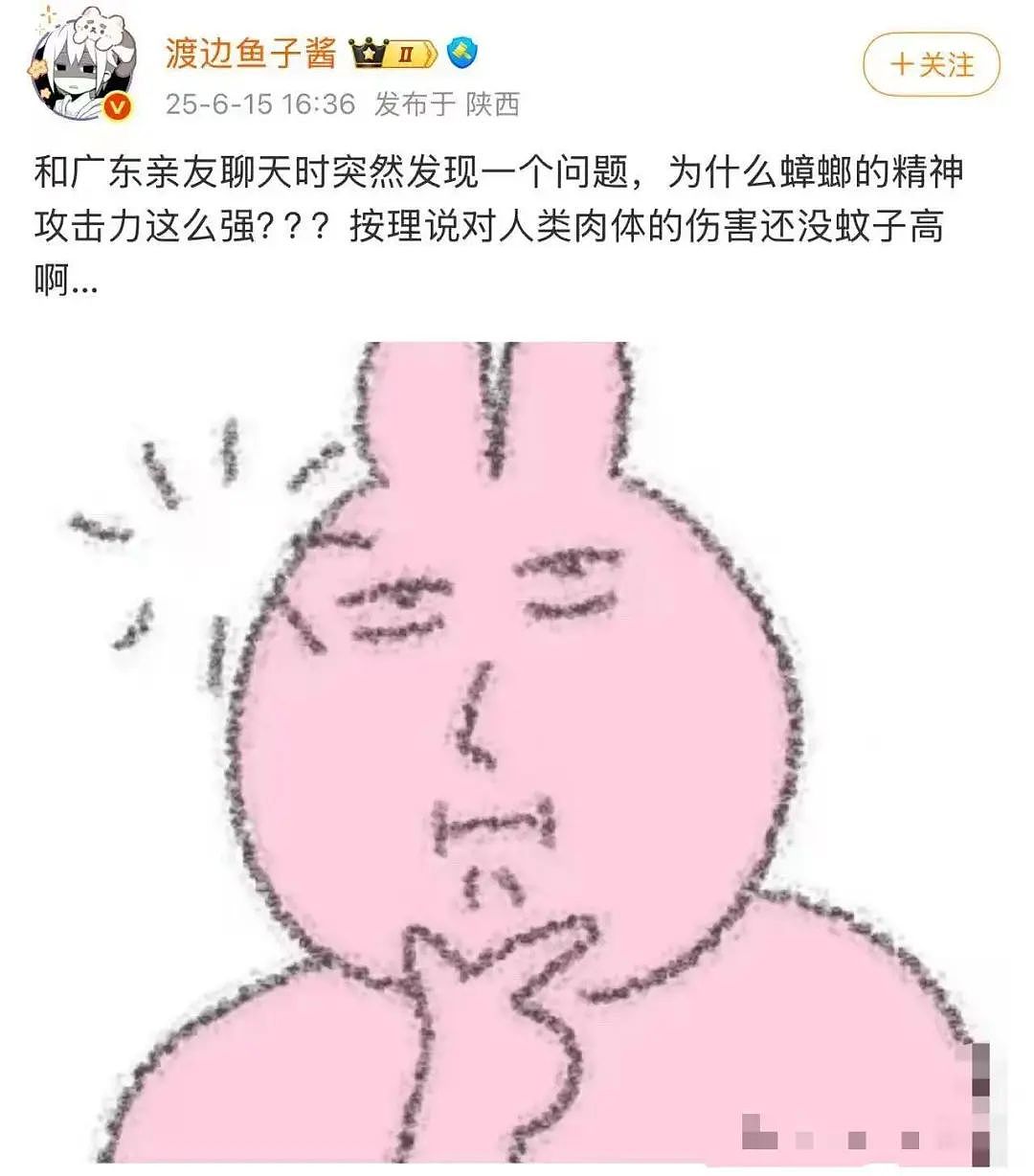 【美女】“拼夕夕下单一百个蚕卵商家发来一千个?”网友夺笋:现在下单桑树还来得及!(组图) - 64