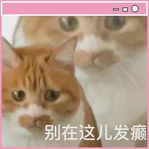 【爆笑】“相亲相到‘嘴强王者’是种什么体验…?”啊啊啊好险差点就把钱花出去了(组图) - 2