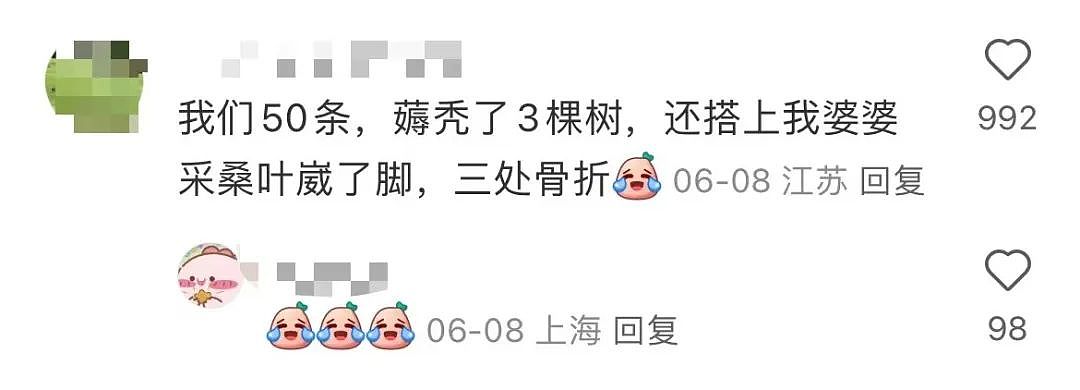 【美女】“拼夕夕下单一百个蚕卵商家发来一千个?”网友夺笋:现在下单桑树还来得及!(组图) - 11