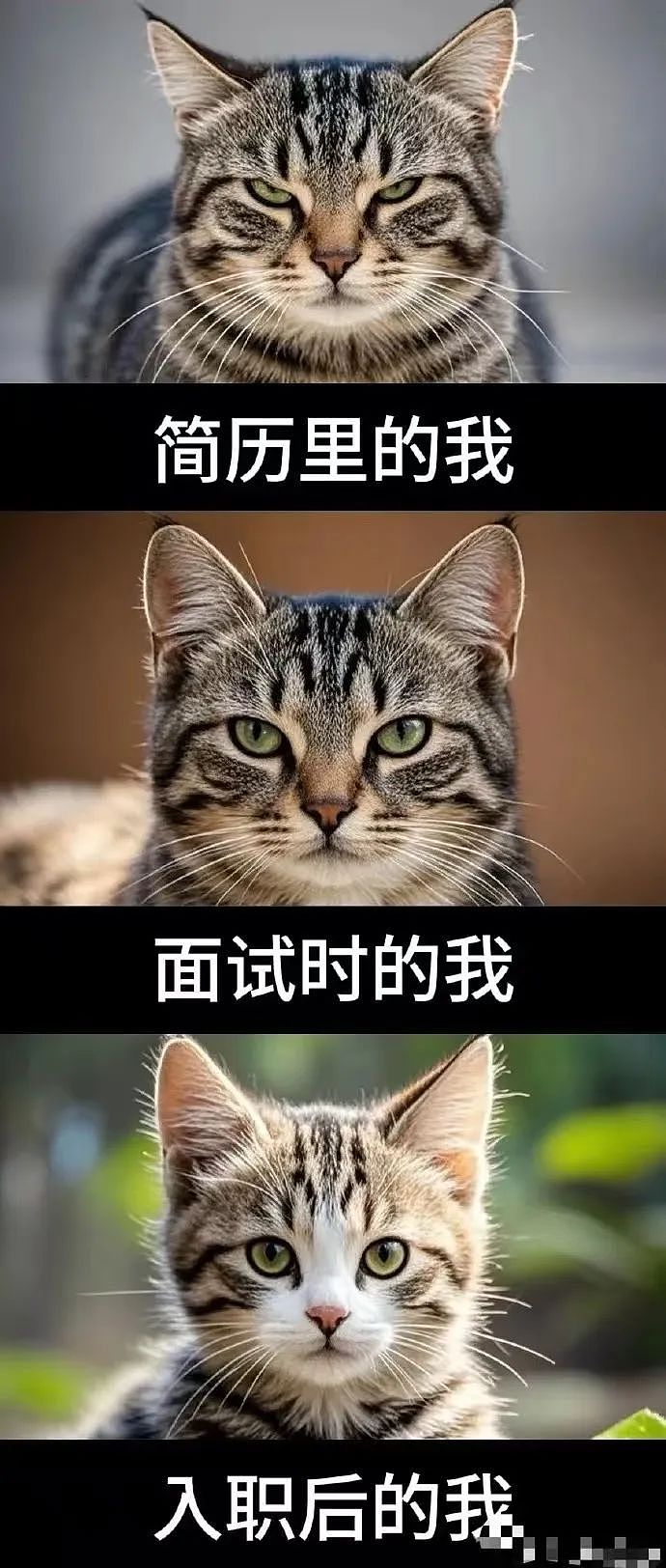 【美女】“拼夕夕下单一百个蚕卵商家发来一千个?”网友夺笋:现在下单桑树还来得及!(组图) - 45