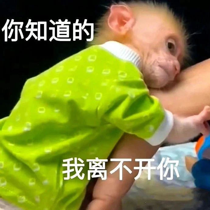 【美女】“拼夕夕下单一百个蚕卵商家发来一千个?”网友夺笋:现在下单桑树还来得及!(组图) - 94