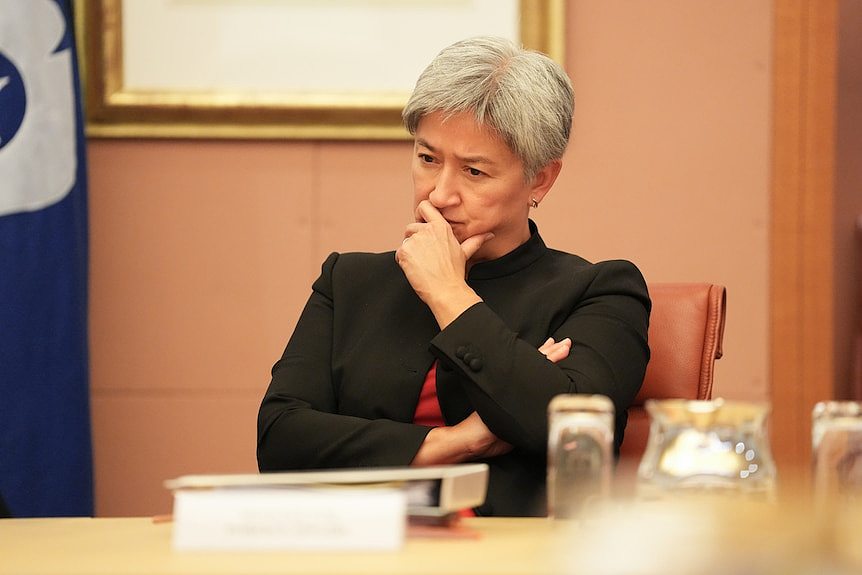 澳大利亚明确表示支持美国政府尝试安排包机撤侨（组图） - 1