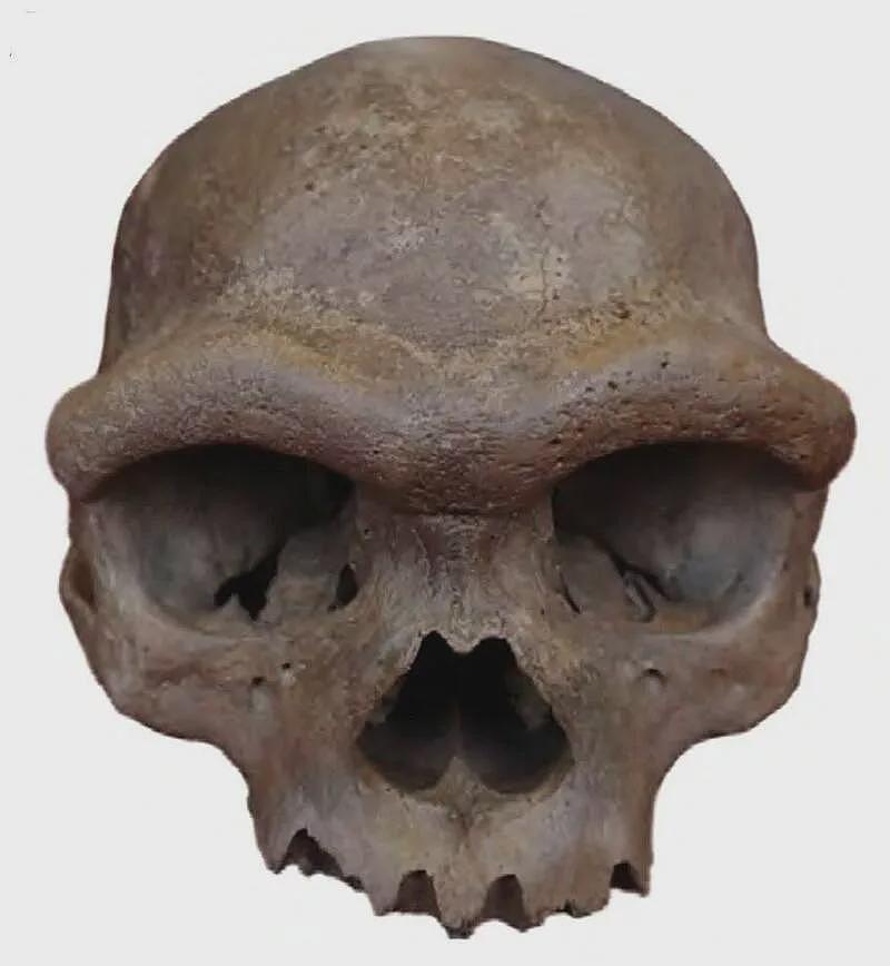 黑龙江出土“龙人”竟是人类远古近亲丹尼索瓦人（组图） - 1