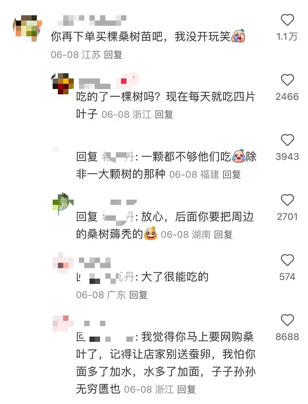 【美女】“拼夕夕下单一百个蚕卵商家发来一千个?”网友夺笋:现在下单桑树还来得及!(组图) - 8