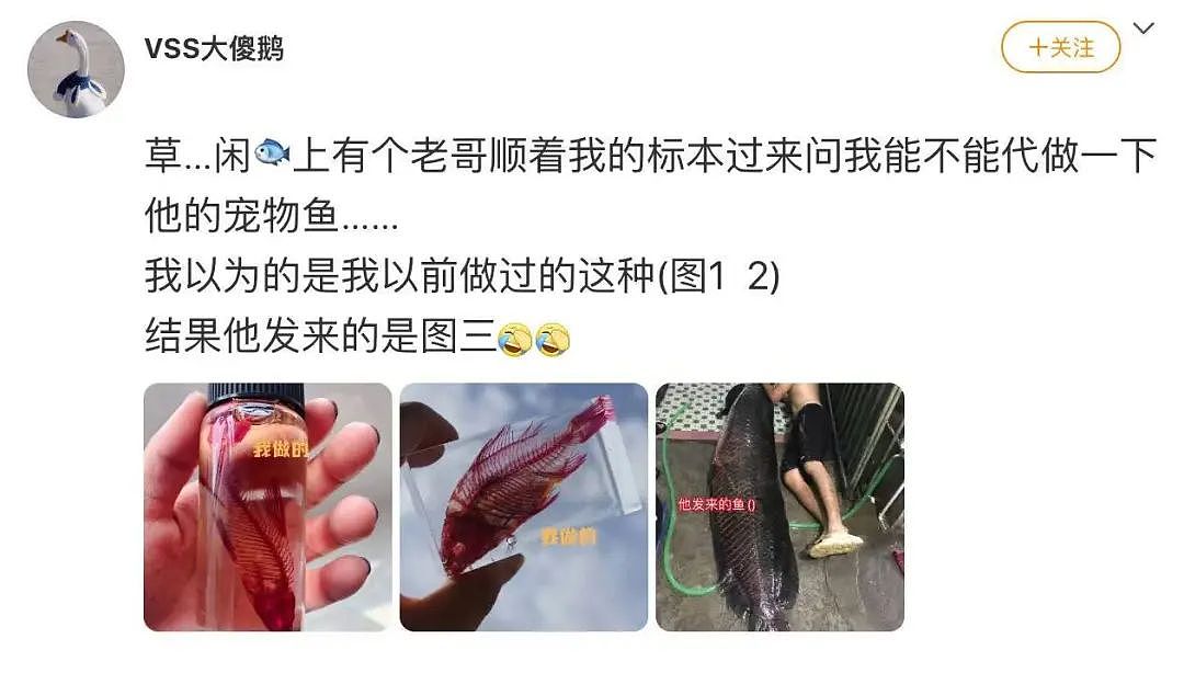 【美女】“拼夕夕下单一百个蚕卵商家发来一千个?”网友夺笋:现在下单桑树还来得及!(组图) - 70