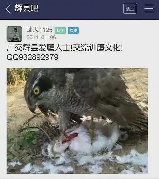 11年前，那个因“掏鸟案”被判10年的大学生，如今怎么样了（组图） - 6