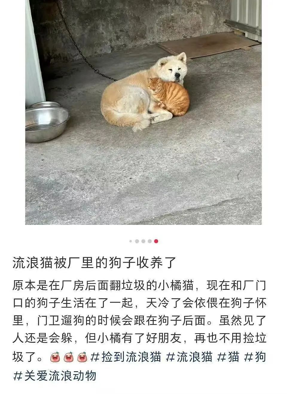 【爆笑】“相亲相到‘嘴强王者’是种什么体验…?”啊啊啊好险差点就把钱花出去了(组图) - 80