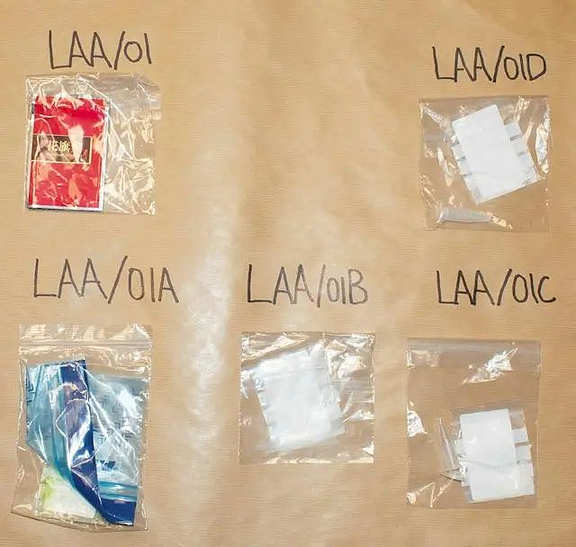中国富二代的跨国性侵案：完美的男人，最危险（组图） - 6