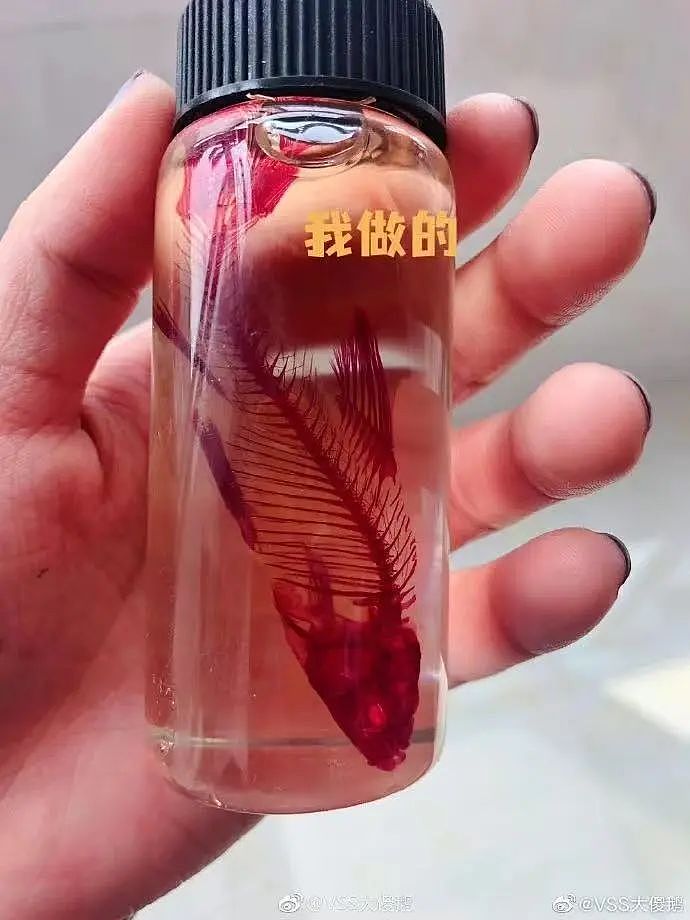 【美女】“拼夕夕下单一百个蚕卵商家发来一千个?”网友夺笋:现在下单桑树还来得及!(组图) - 71