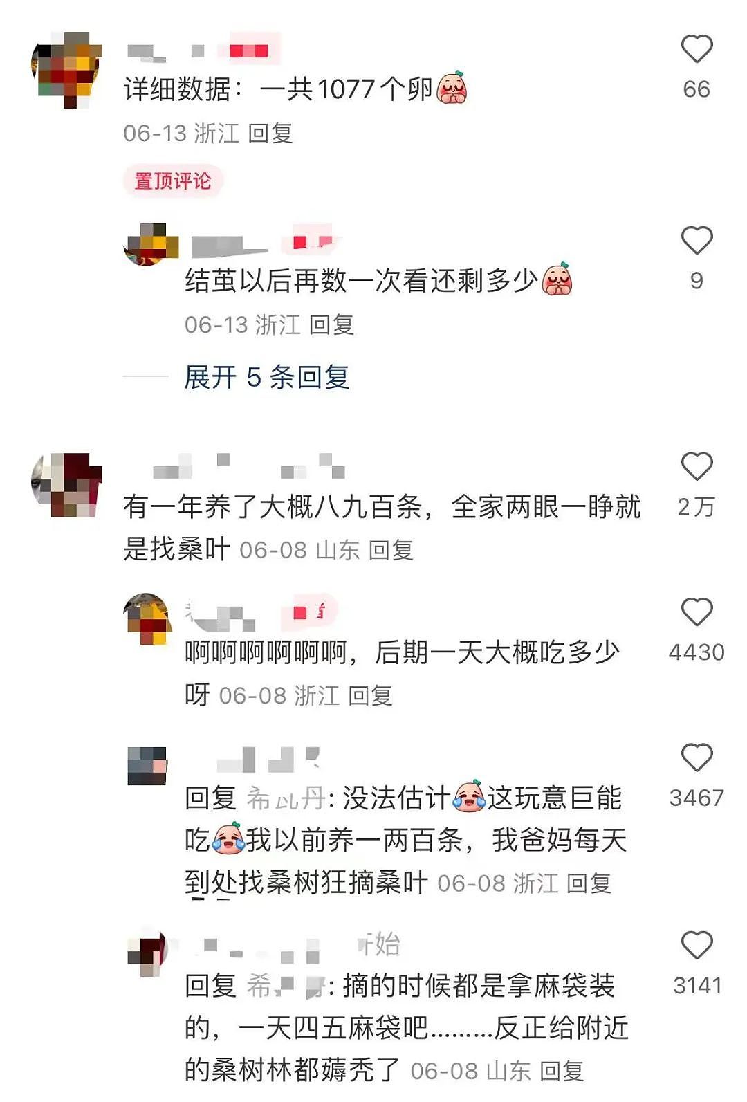 【美女】“拼夕夕下单一百个蚕卵商家发来一千个?”网友夺笋:现在下单桑树还来得及!(组图) - 7